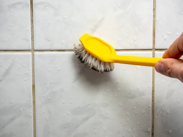 Best Office Mold Removal Services  in Winchester, CA