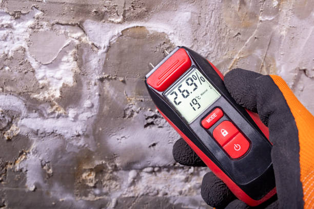 Best Affordable Mold Removal  in Winchester, CA